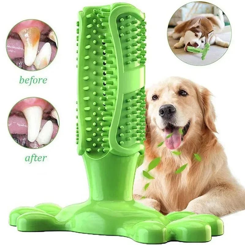 Pet Dog Cactus Interactive Rubber Chew Toys For Small Large Dogs Tooth Cleaning Toothbrush For Medium Large Dogs Treat Dispenser