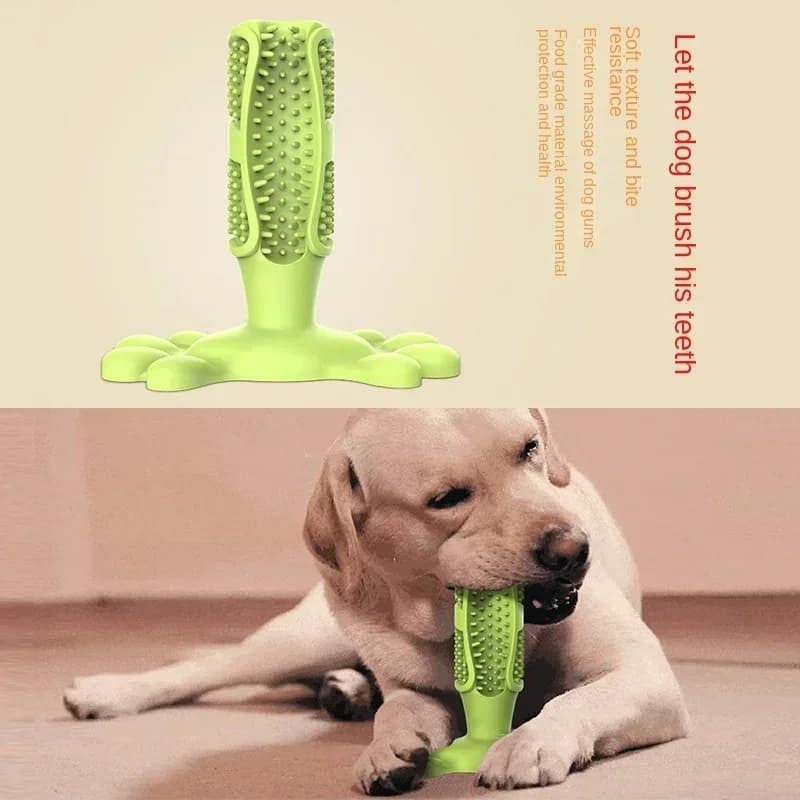 Pet Dog Cactus Interactive Rubber Chew Toys For Small Large Dogs Tooth Cleaning Toothbrush For Medium Large Dogs Treat Dispenser