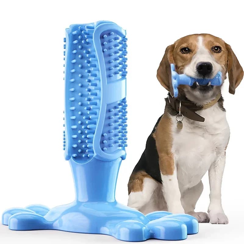 Pet Dog Cactus Interactive Rubber Chew Toys For Small Large Dogs Tooth Cleaning Toothbrush For Medium Large Dogs Treat Dispenser
