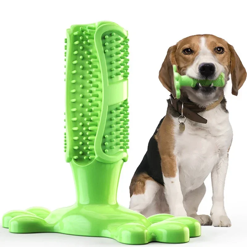 Pet Dog Cactus Interactive Rubber Chew Toys For Small Large Dogs Tooth Cleaning Toothbrush For Medium Large Dogs Treat Dispenser