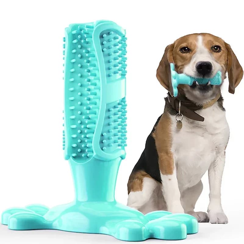 Pet Dog Cactus Interactive Rubber Chew Toys For Small Large Dogs Tooth Cleaning Toothbrush For Medium Large Dogs Treat Dispenser